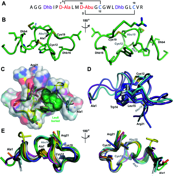 Fig. 2