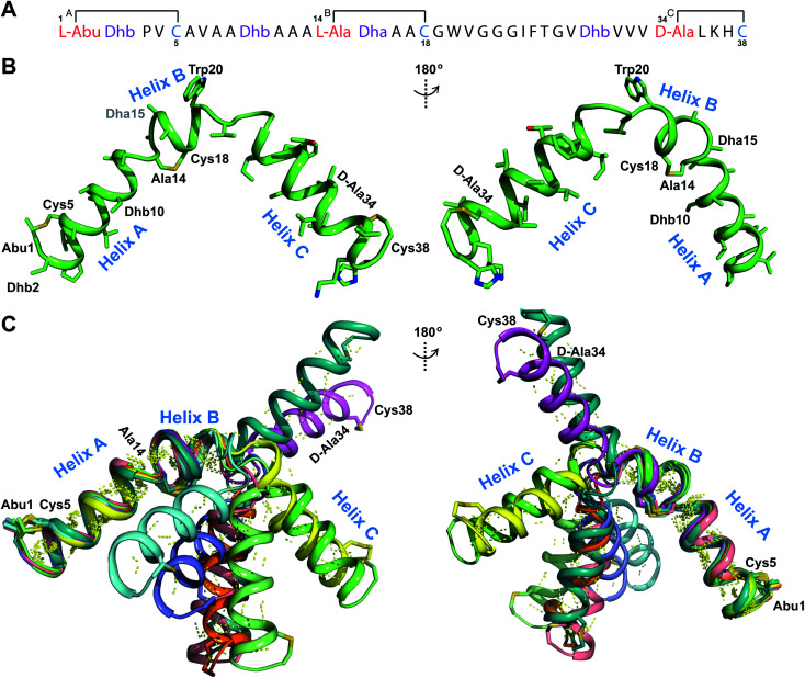 Fig. 12