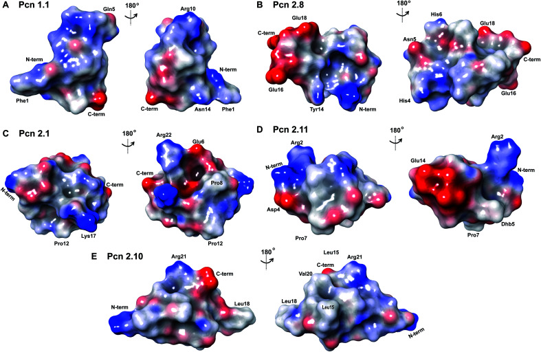 Fig. 8