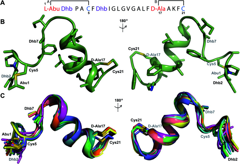 Fig. 9