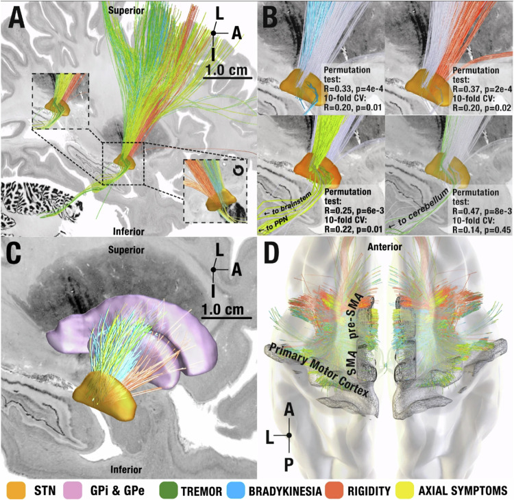 graphic file with name 41467_2024_51394_Figb_HTML.jpg