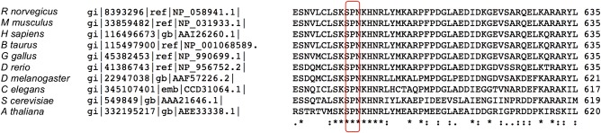 Figure 3.