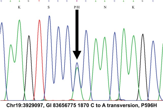 Figure 2.