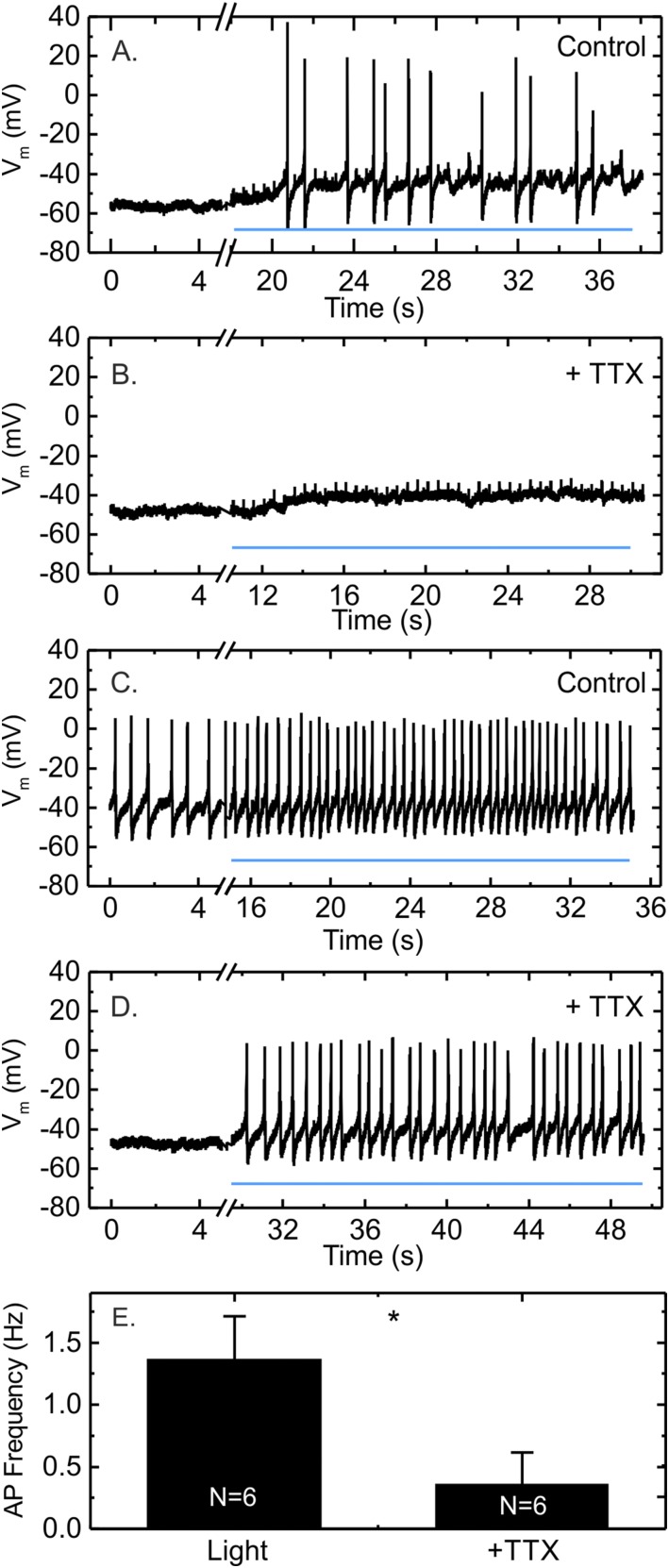 Figure 4.