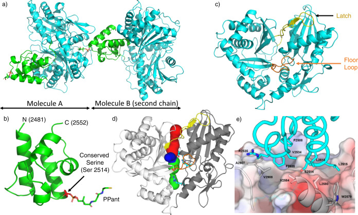 Fig. 2