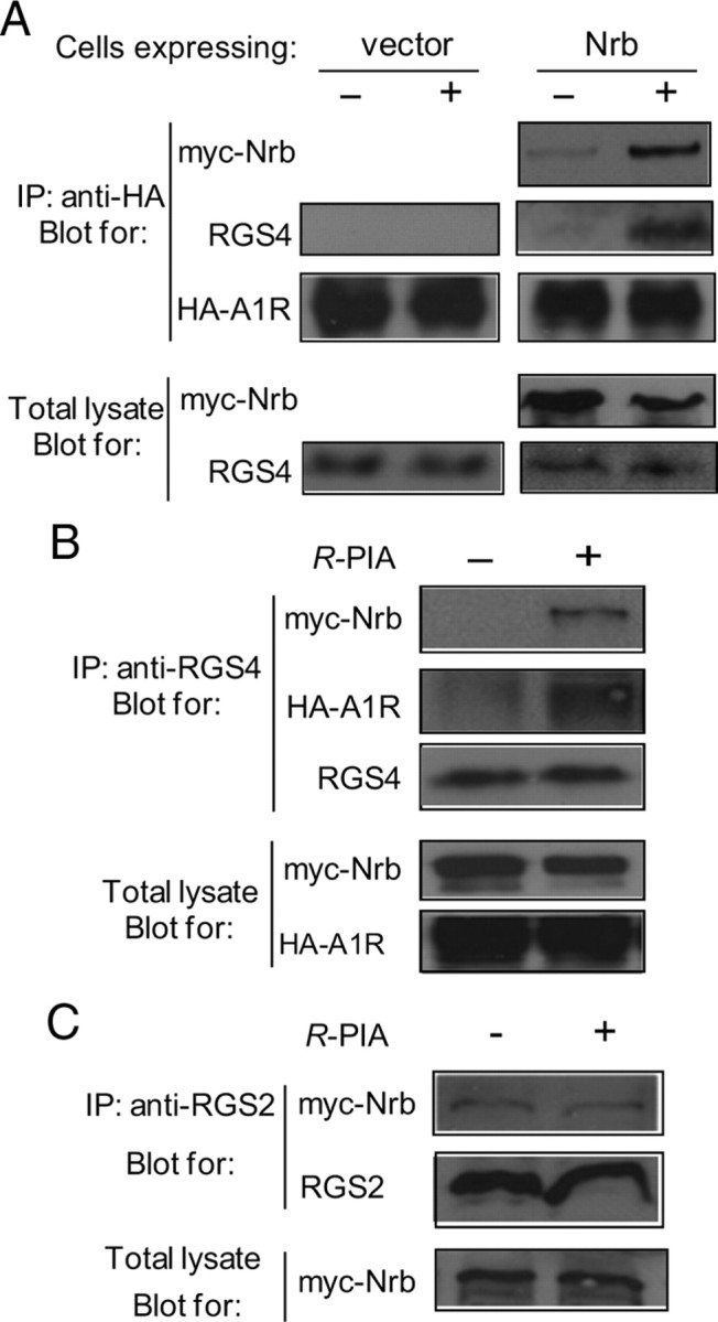 Figure 6.