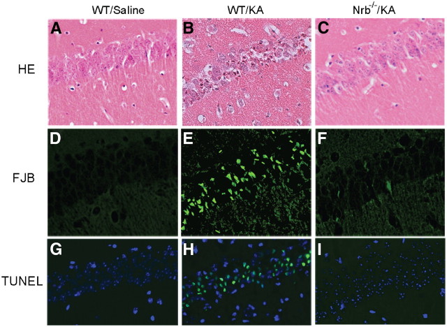 Figure 10.