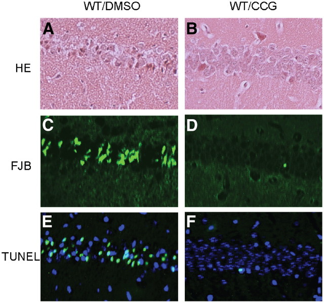 Figure 12.