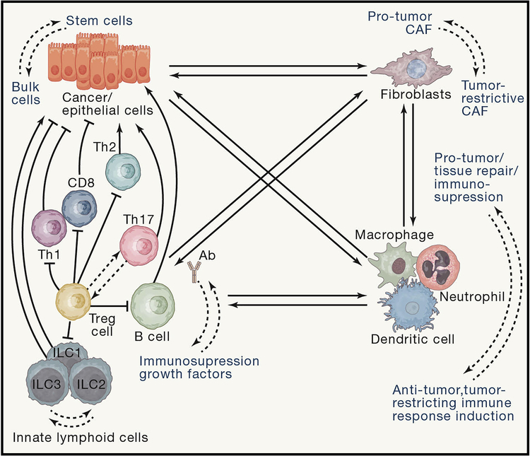 Figure 4: