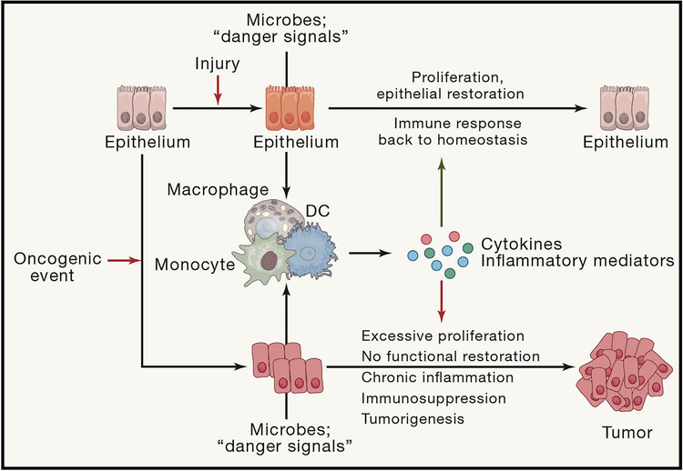 Figure 1: