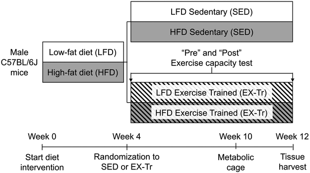 Figure 1: