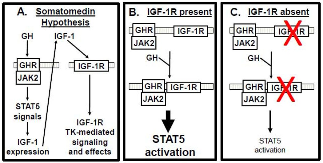 Figure 2.