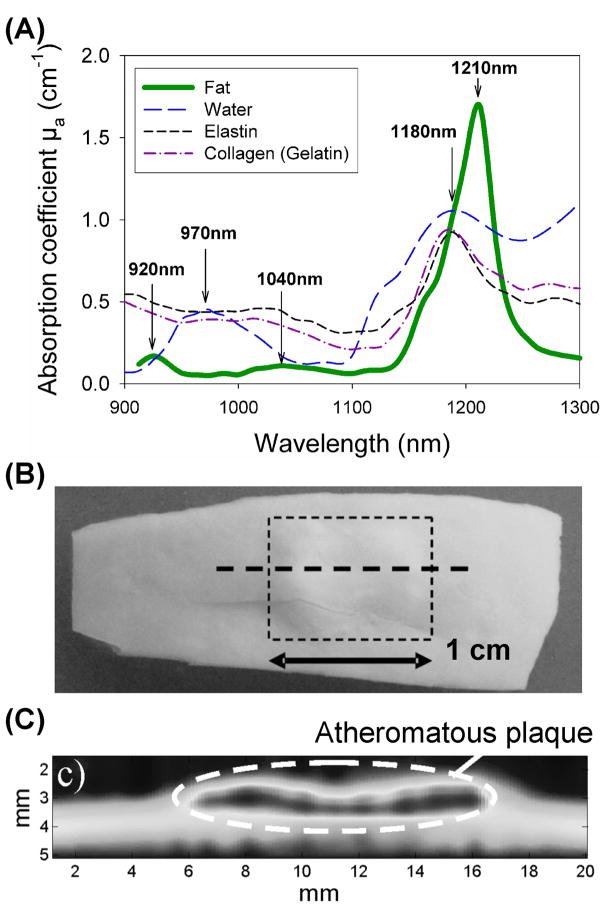 Figure 11