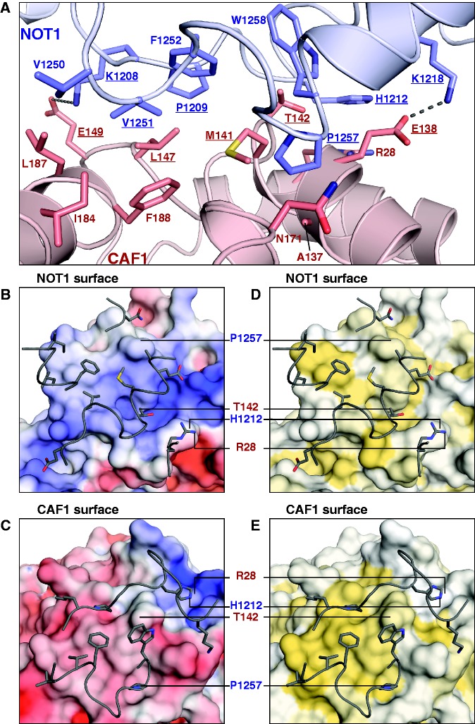 Figure 5.