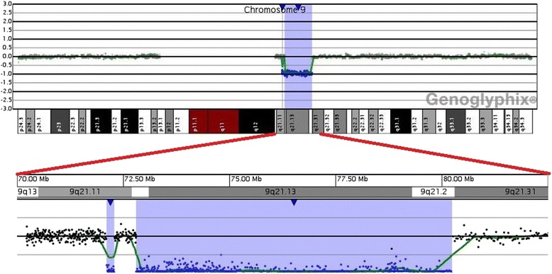 Fig. 2