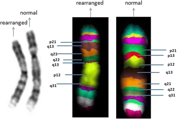 Fig. 3