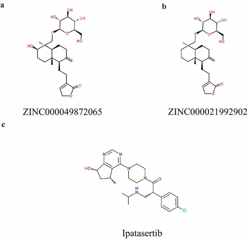 Figure 2.