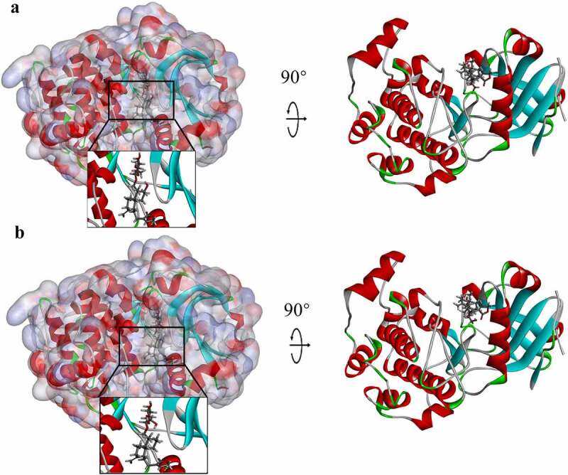 Figure 4.