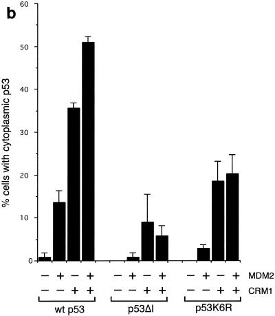 FIG. 7