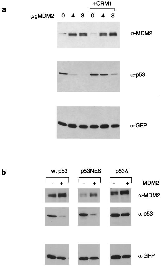 FIG. 8