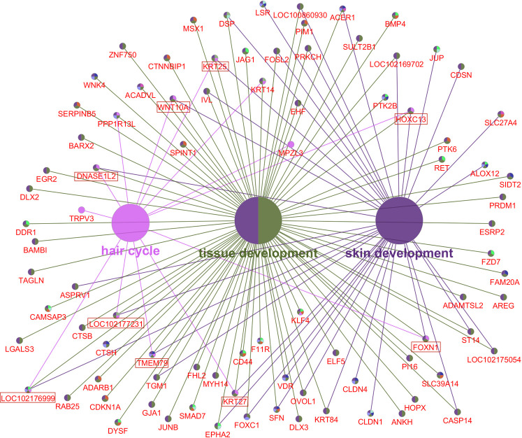 Fig 10