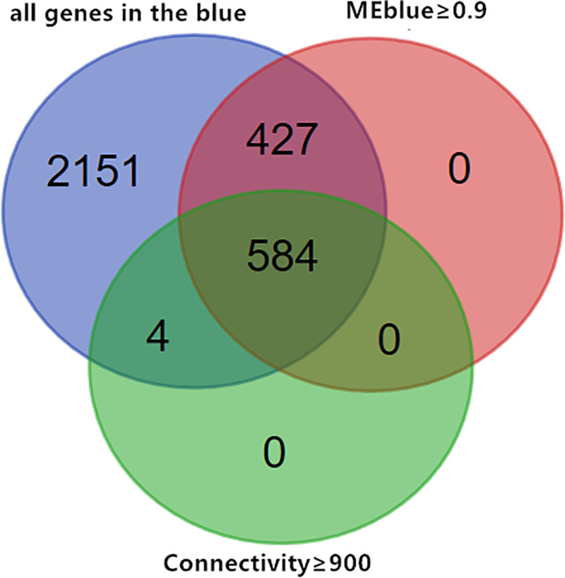 Fig 5