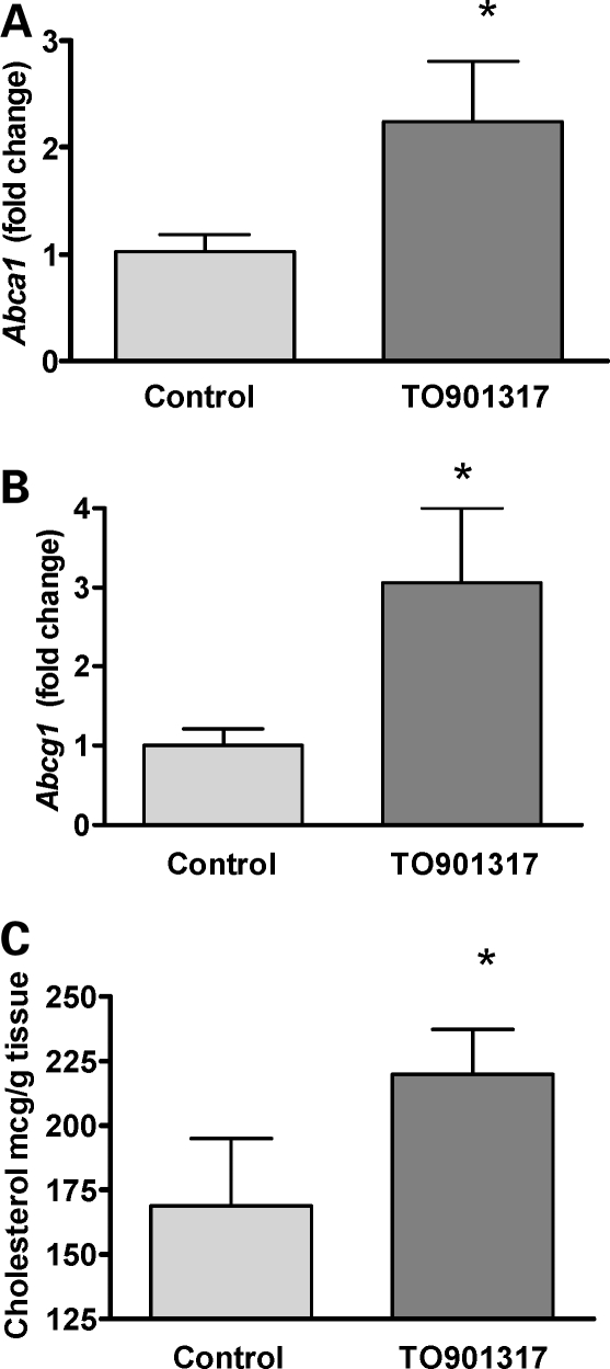 Figure 5.