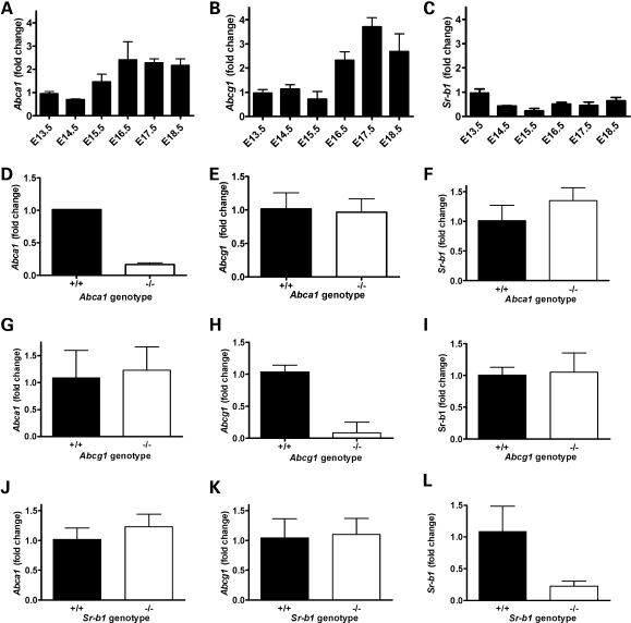 Figure 2.