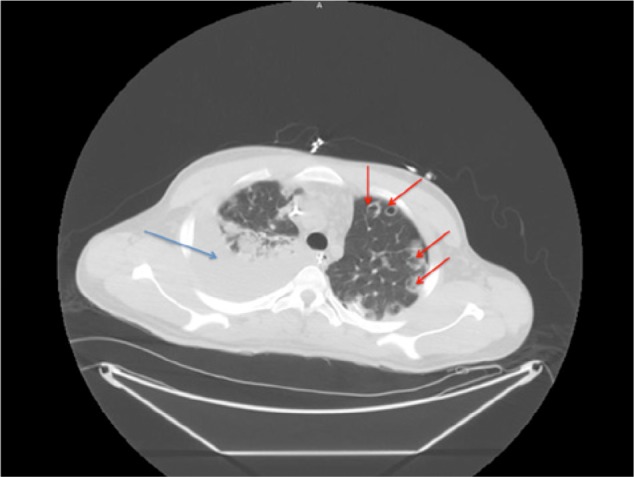 Figure 2.