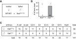 Figure 5—figure supplement 1.