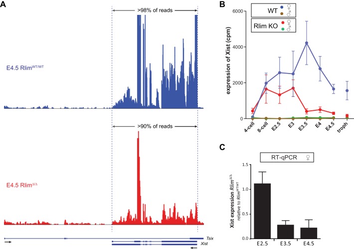 Figure 2—figure supplement 1.