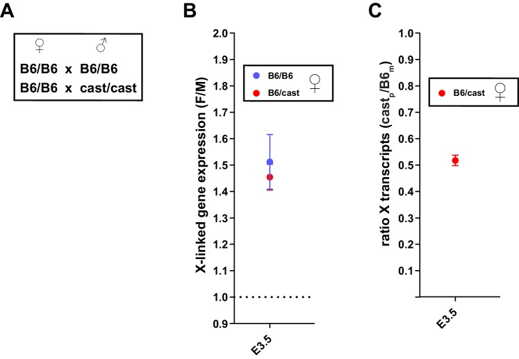 Figure 3—figure supplement 2.