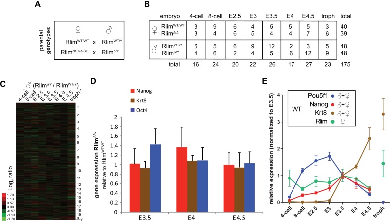 Figure 1—figure supplement 1.