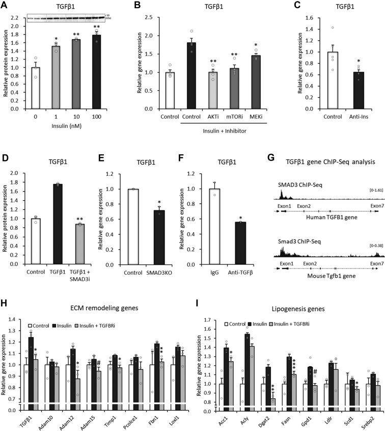 Figure 6