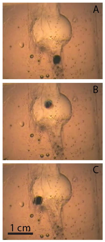 Fig. 6