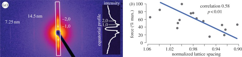 Figure 4.