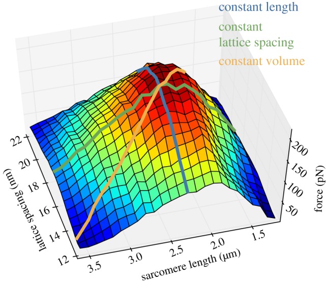 Figure 3.