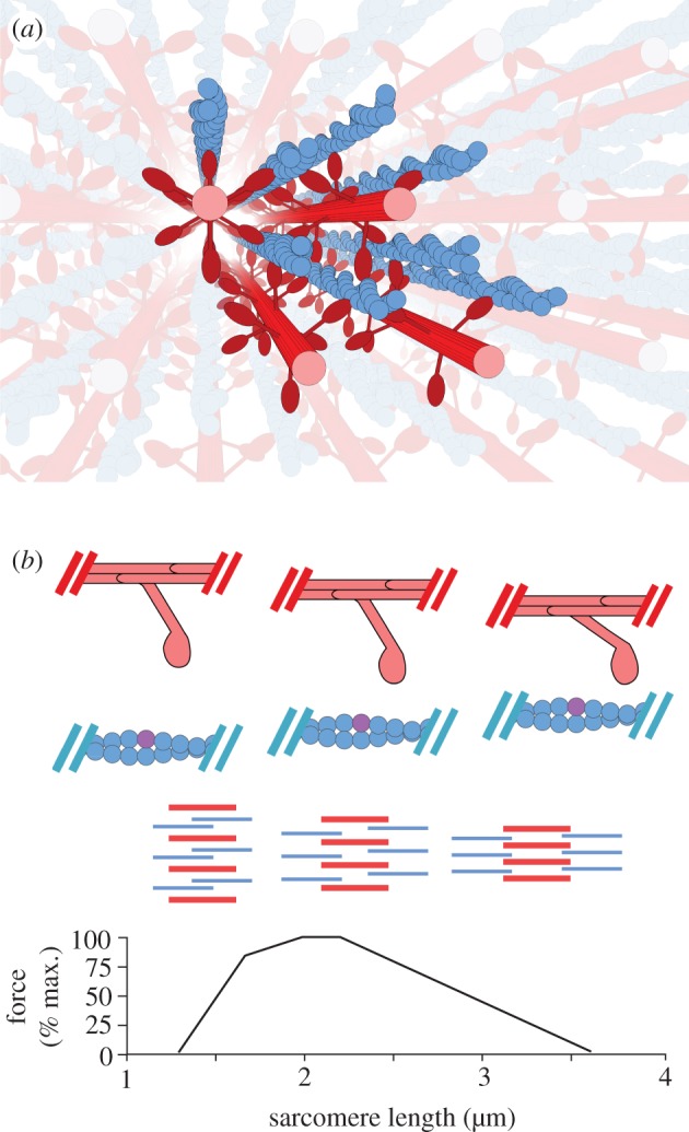 Figure 1.