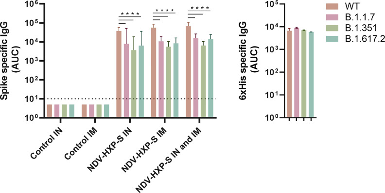 Figure 5