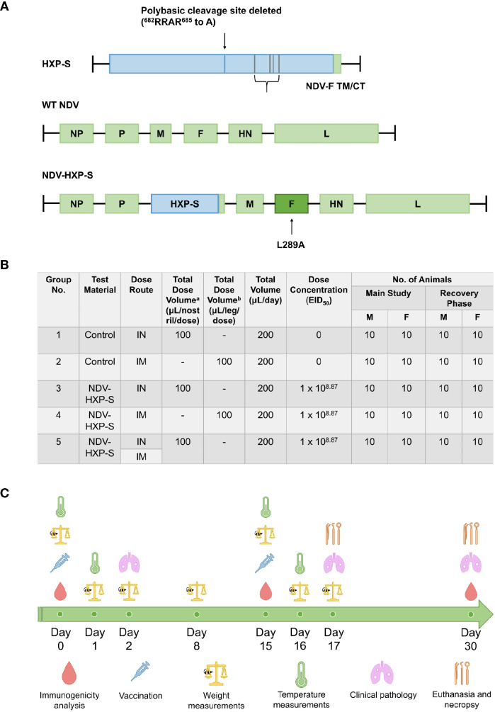 Figure 1