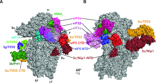 Figure 10.