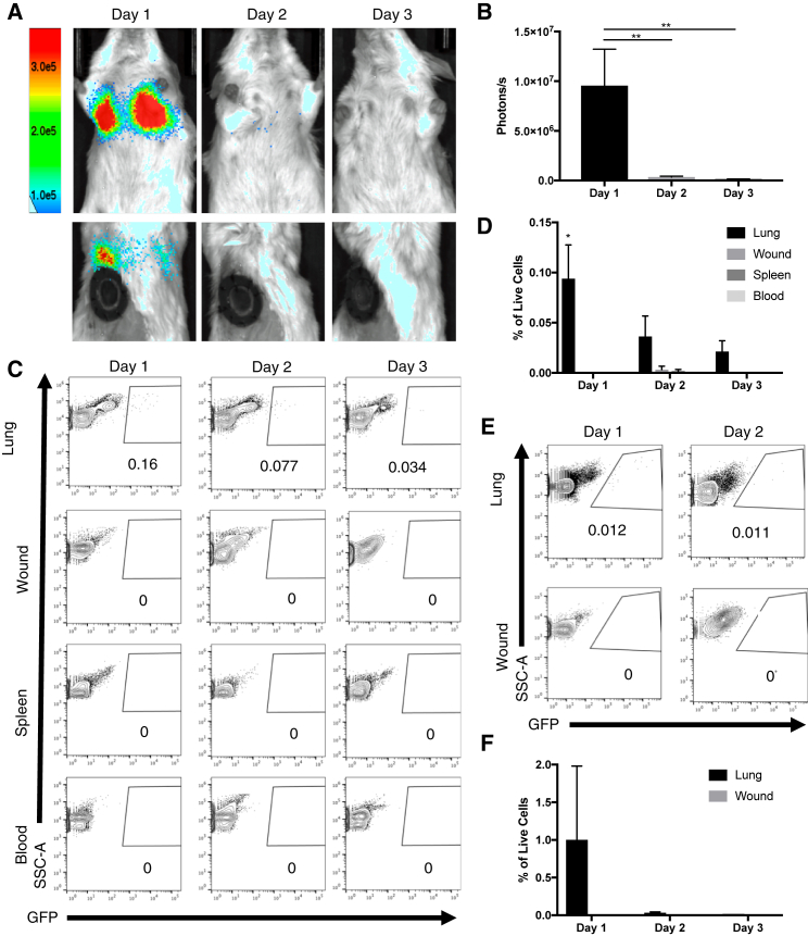 Figure 2