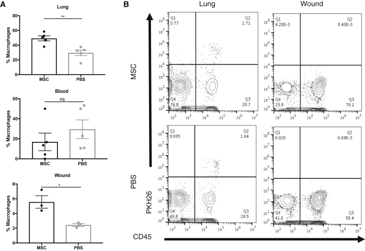 Figure 6