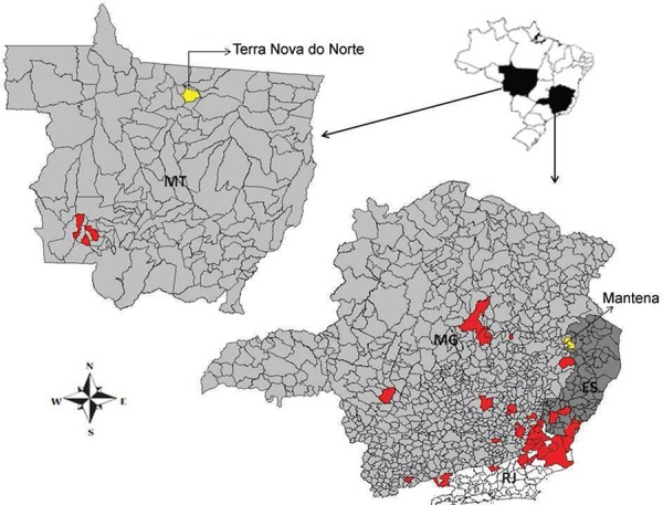 Regions with bovine vaccinia notification after 1995 (red). Brazilian states:
Espírito Santo (ES), Minas Gerais (MG), Mato Grosso (MT), Rio de Janeiro
(RJ).