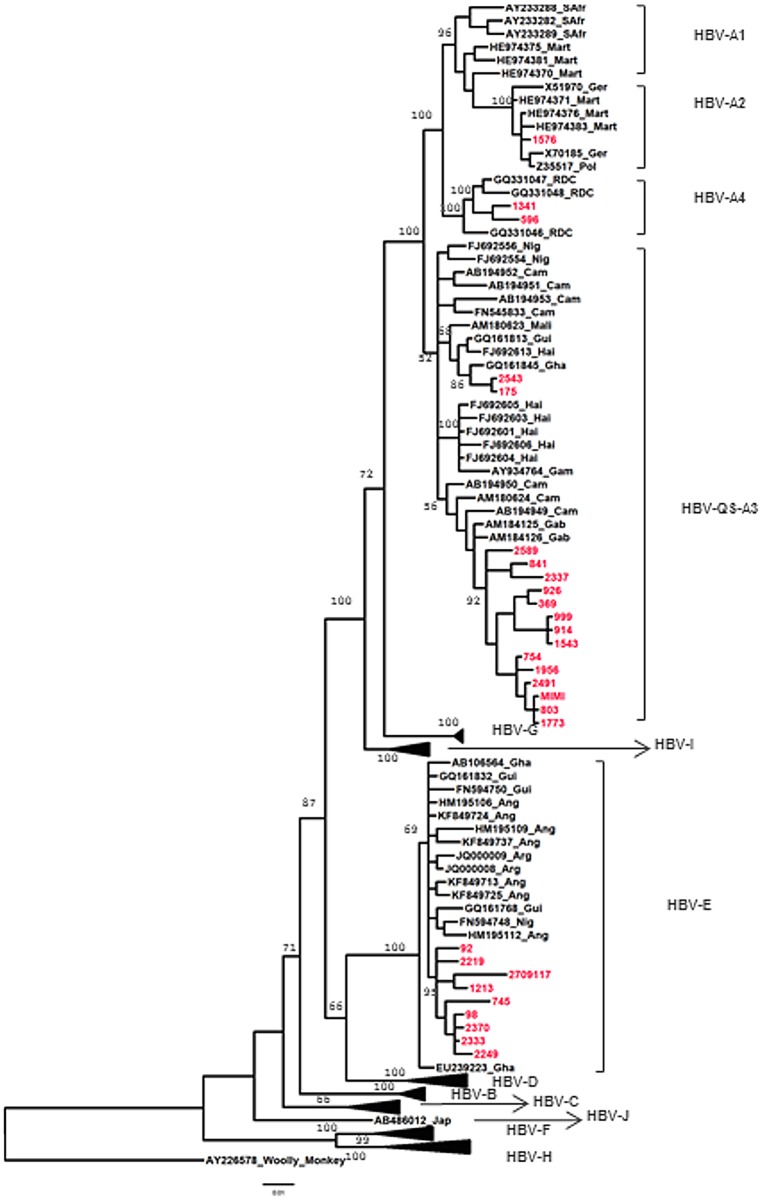 Fig 5