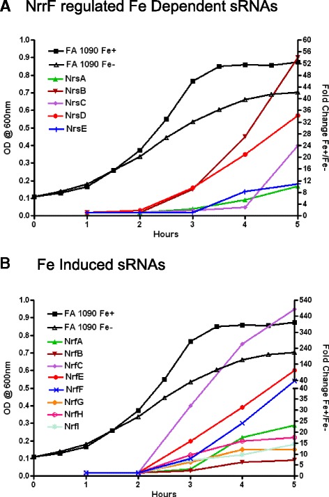 Fig. 6