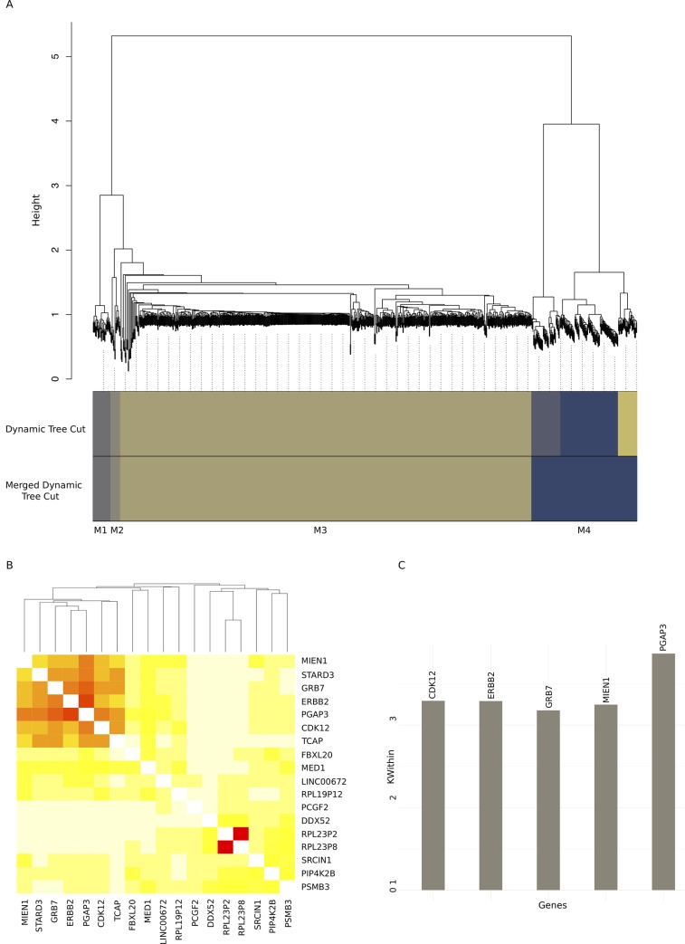 Fig 5