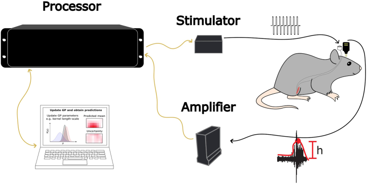 Figure 3