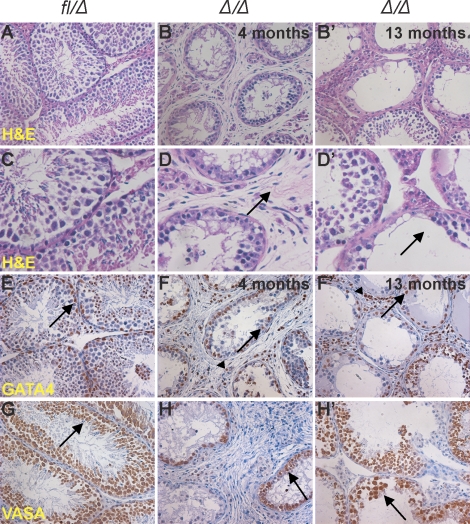 FIG. 6.