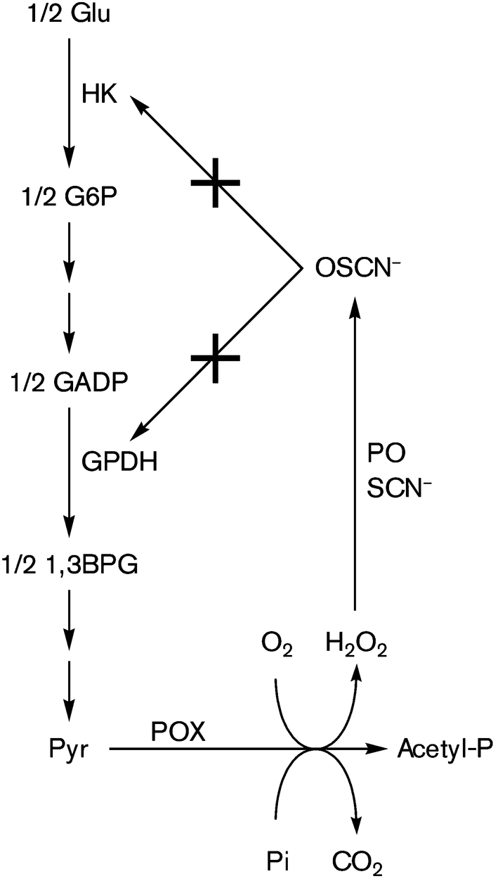 Fig. 8.